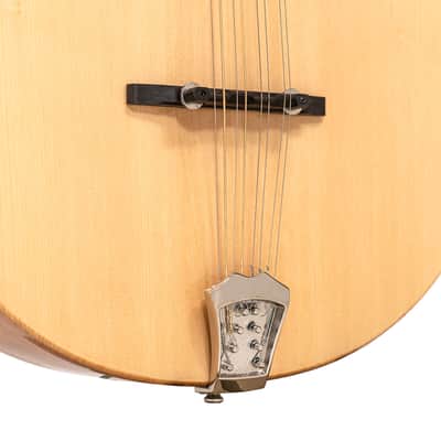 Gold Tone BZ-500 Folkternative Design Solid Spruce Top Irish Bouzouki Mandolin with Hardshell Case image 7