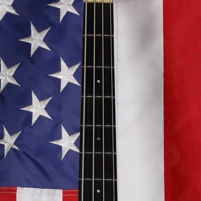 ESP LTD AP-204 - Black Satin image 4