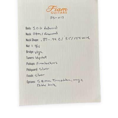 Fiam Guitars Mirari F5 2023 “Silver Surfer” NEW. (Authorized Dealer) image 14