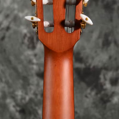 Ibanez FRH10N Thinline Classical Acoustic Nylon Acoustic Electric Indigo Blue Metallic Flat w/ FREE Same Day Shipping image 3