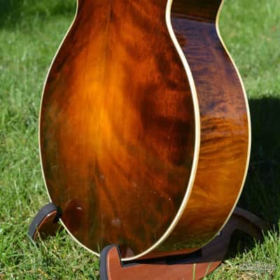 Gibson L5 Lloyd Loar Signed 1924 with Virzi image 6