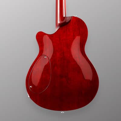 CP Thornton Guitars Professional - Darkburst w/ 5A Flame Maple Top. NEW (Authorized Dealer) image 9