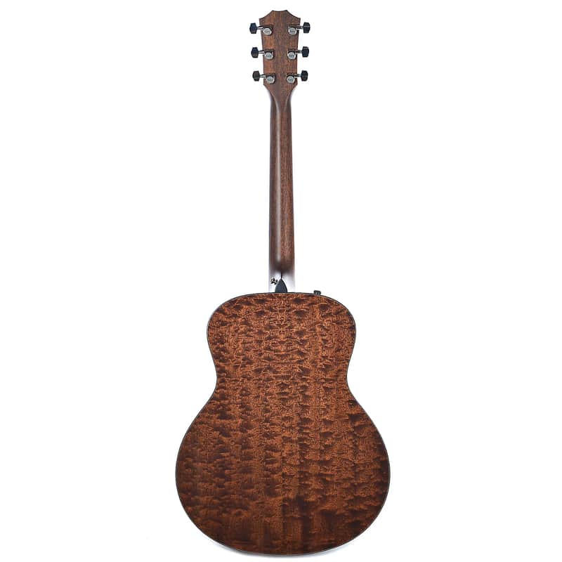 Taylor 516e LTD Baritone 6 image 2