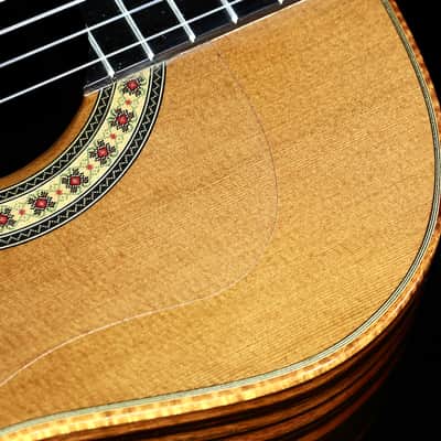 Custom Pegasus Guitar / Ukulelefriend.com image 8