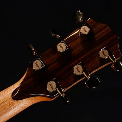 Taylor 2026 Catch Custom #41 C22ce Tasmanian Blackwood image 7