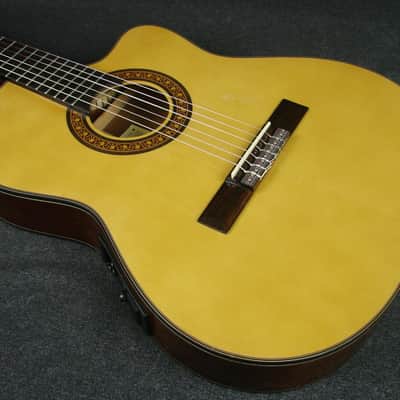 Salvador Ibanez GA5TCE-14-01 Thinline Classical Acoustic/Electric Guitar image 4