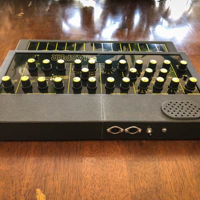 Jasper Synth DP WASP clone with 3D printed enclosure and desktop stand image 7