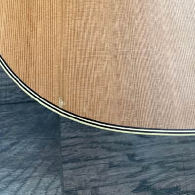Immagine Takamine EAN10c - 9
