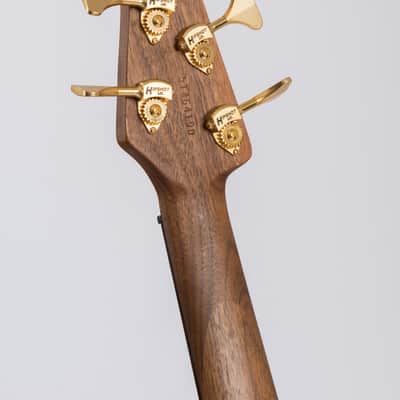 Peavey Cirrus 5 USA 2006 image 4