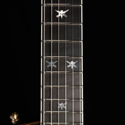 ESP Japanese Custom Shop Signature Series Will Adler Warbird Distressed - Black image 9