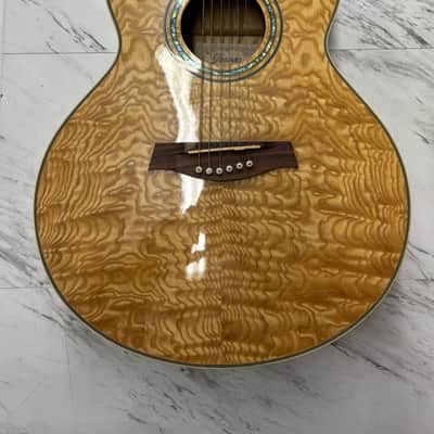 IBANEZ EW20AS acoustic guitars for sale in USA | guitar-list