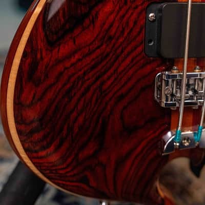 2024 Alembic Series I 5-String Cocobolo - Premium Build image 19