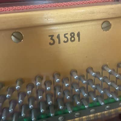 Knight 1961 Upright 1961 - Satin teak image 12