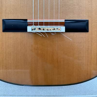2025 Jialan Chen Coclea Cedro image 5