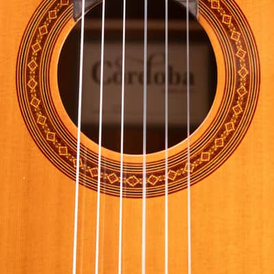 Cordoba C5 Classical Acoustic Guitar with Gig Bag - Used image 12