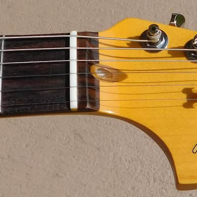 Fender American Professional Classic Jaguar Electric Guitar w/Eyeglass Case 2025 image 10