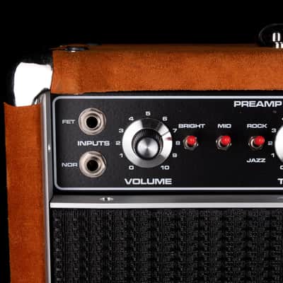 Pre-Owned  '22 Amplified Nation Bombshell 50-Watt Guitar Amp Head And 112 15-ohm 65-watt Matching Cab - Golden Brown Suede Owned by Ben Harper image 4