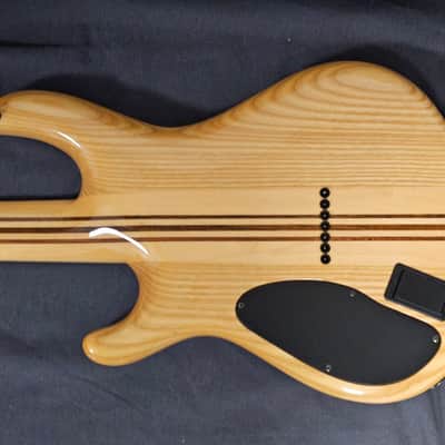 Mayones Regius Elements Water 7 strings with piezo image 5