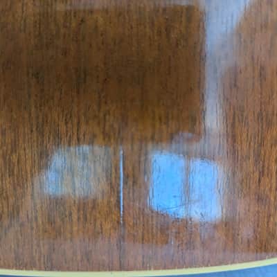 Epiphone FT-79 Texan 1967 - Natural image 19