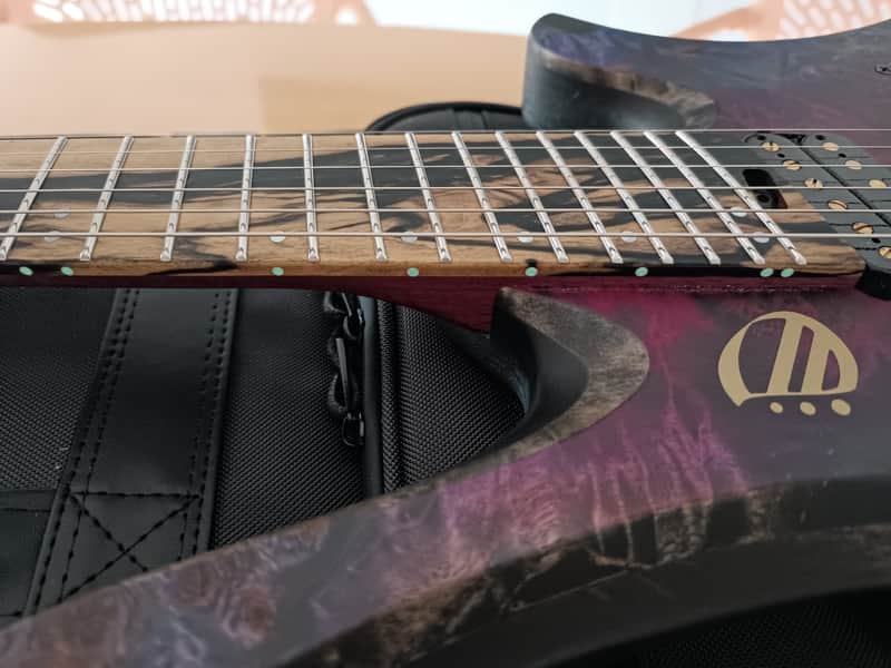 Overload Custom Guitars Themis 6 2025 like NEW fan fret | Reverb