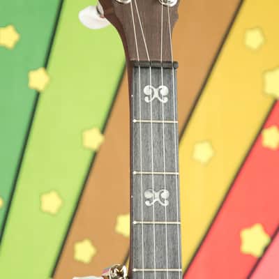 Deering Artisian Goodtime Openback 5 String Banjo image 4