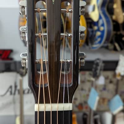 Alvarez LT70e Laureate Daybreak 000-12, w/Flexi-case, setup review, & shipping image 10