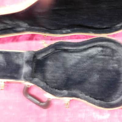 made in Canada Gibson Les Paul Special Single Cut image 5