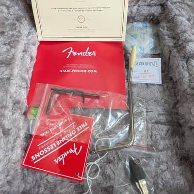 Fender American Professional II Stratocaster - Mercury image 7