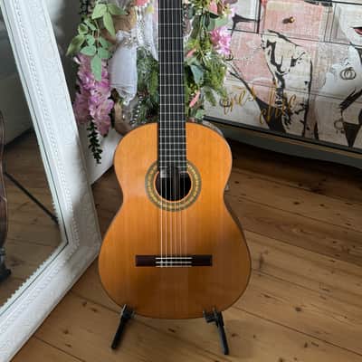 Steven R Toon  2024 - Cedar Nomex Double Top Classical Guitar  - Stunning (Very Hard to aquire 1.5 year lead time ) image 1
