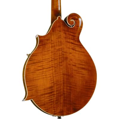 Kentucky KM-752 Deluxe F-Style Mandolin Regular Transparent Amber image 4