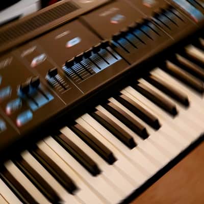 CERTIFIED!!! RHODES CHROMA POLARIS UPGRADED AND IN AMAZING CONDITION! image 11