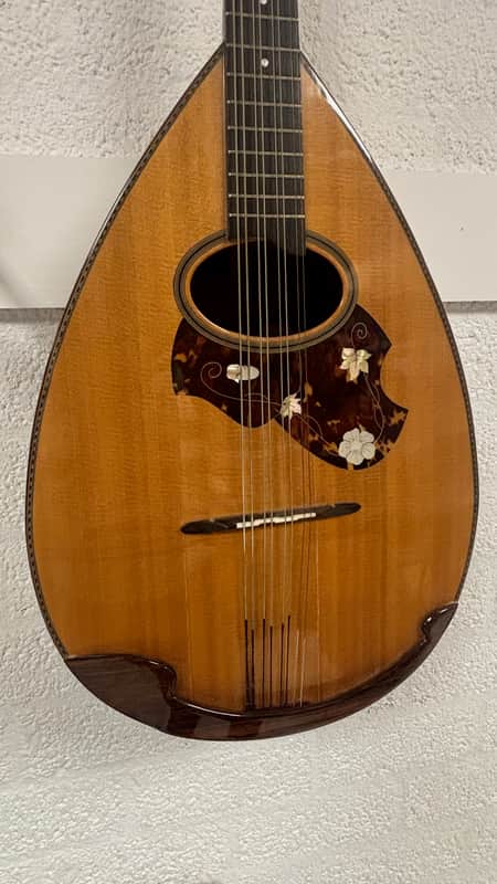 Suzuki MC-836 late 20th Century Mandocello | Reverb Belgium