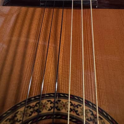 Epiphone CO60 (1970s) Japan image 6
