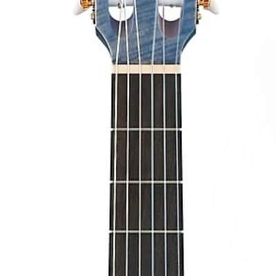 Ibanez GA5FMTCEOB Open Pore Classical Acoustic Electric Guitar - Berry image 4