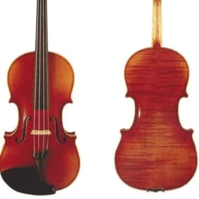 DZ Strad Violin - Model 120 - High-Grade Carved Top imagen 1