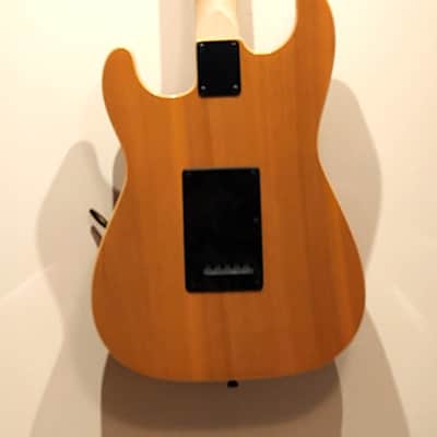 CUSTOM DESIGNED & CRAFTED - SOLID ASH STRAT STYLE W/BUTTERSCOTCH DOUBLE BOUND BODY W/RED APPLE JASPER - SERIAL #075 -  2025 image 14