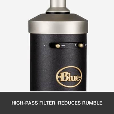 Blue Baby Bottle SL XLR Condenser Microphone for Recording and Streaming, Large-Diaphragm Cardioid C image 5