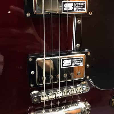 Edwards E-SG-90 LT2 CH image 4