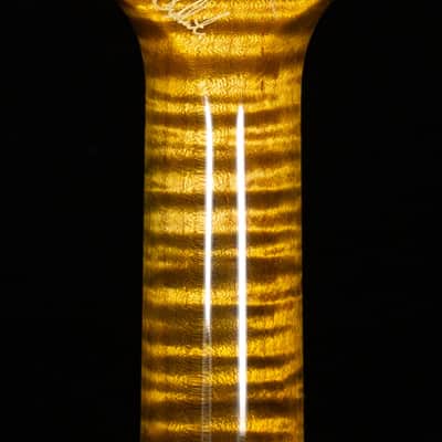 PRS Private Stock 11604 Custom 24-08 Semi-Hollow Tiger Eye Glow (354) image 6
