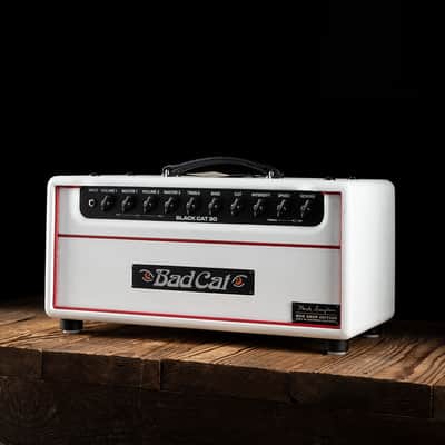 Bad Cat Mod Shop Mark Sampson Black Cat 30 Watt Guitar Head - White Bronco - Free Shipping image 3