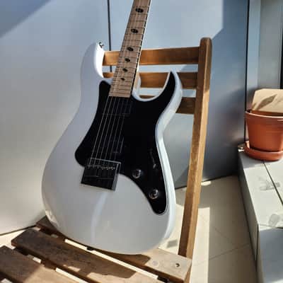 Caparison Dellinger-JSM Joel Stroetzel`21 image 3