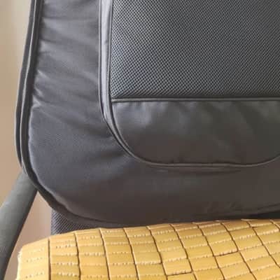 Bag Custom Made For Double Neck SG Page Signature Guitar Gibson (Big G) image 5
