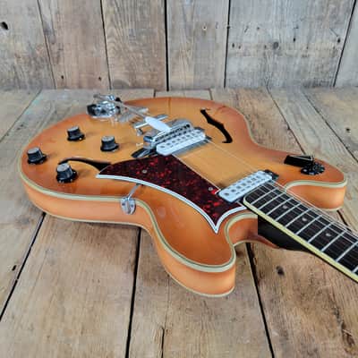 Eko Barracuda 290 1963 Excellent w/ Ibanez Hard Case - Amber Sunburst image 9