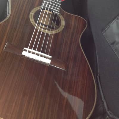Cordoba Fusion 14 Rose w/ Solid Rosewood Top - Fishman Presys Preamp - Tuner & Premium Gigbag #25295 image 21