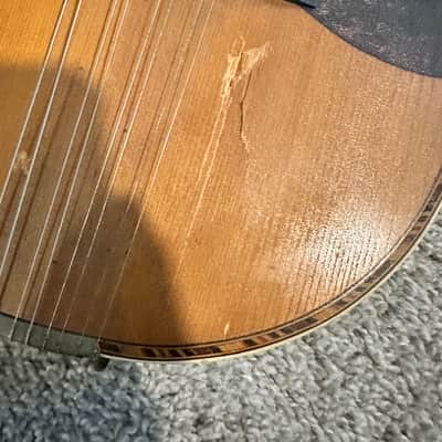 Buegeleisen & Jacobson (B&J) Victoria mandolin 1880 to 1925 image 2