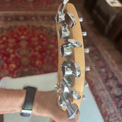 Fernande Nomad Deluxe Electric Guitars Silver/Gray image 1