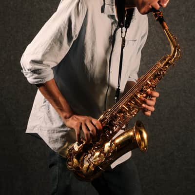 Eb Alto Saxophone with F# Key, Gold Lacquer | Intermediate Student Alto Sax Kit with Case, Stand & Accessories image 4