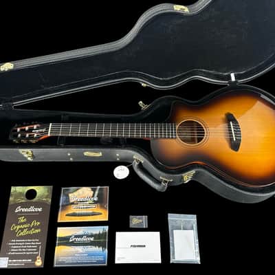 2022 Breedlove Organic Pro Solo CN CE Nylon String Classical w Built-in Electronics ~ Edgeburst image 12
