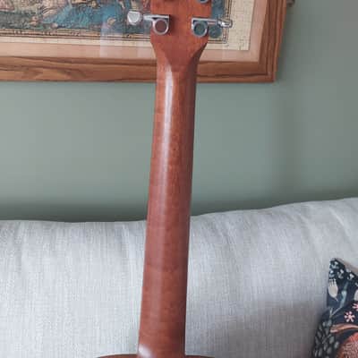Left-Handed Baby Taylor BT2 With Hard Case image 6
