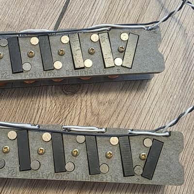 Immagine Nordstrand Audio Polyvox 5 Custom - 2